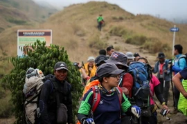  Những người mắc kẹt sơ tán xuống núi Rinjani ở Lombok, Indonesia sau khi được giải cứu ngày 30/7. (Ảnh: EPA-EFE/TTXVN)