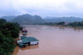 (Ảnh: Quang Đán/TTXVN)