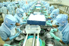 Chế biến thủy sản xuất khẩu. (Ảnh: Vũ Sinh/TTXVN)