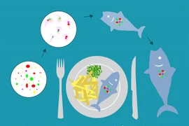 (Nguồn: aquarium.co.za)