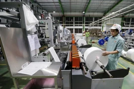 Sản xuất bao bì đóng gói sản phẩm tại nhà máy của Công ty An Phát. (Ảnh: Trần Việt/TTXVN)