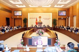 Quang cảnh Phiên khai mạc. (Ảnh: Trọng Đức/TTXVN)