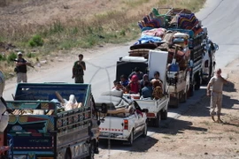  Đoàn xe chở người dân Syria di tản khỏi khu vực do phiến quân chiếm đóng ở tỉnh Idlib ngày 23/6. (Ảnh: AFP/TTXVN)