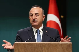  Ngoại trưởng Thổ Nhĩ Kỳ Mevlut Cavusoglu. (Nguồn: AFP/TTXVN)