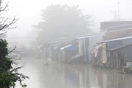 (Ảnh minh họa: Duy Khương/TTXVN)