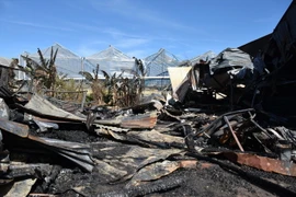 Lâm Đồng: Hỏa hoạn thiêu rụi một xưởng gỗ, lửa lan sang nhà dân