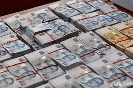 Ảnh minh họa. (Nguồn: channelnewsasia.com)