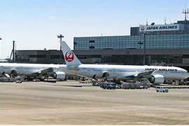 Máy bay của Hãng hàng không Japan Airlines. (Nguồn: ndtv.com)