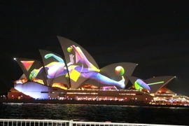  (Ảnh: Khánh Linh/TTXVN)