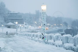Tuyết phủ trắng xóa Ontario, Canada ngày 30/12/2017. (Nguồn: THX/TTXVN)