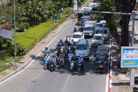(Ảnh: Thành Đạt/TTXVN) 