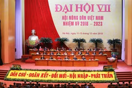 Toàn cảnh Đại hội đại biểu toàn quốc Hội Nông dân Việt Nam lần thứ VII. (Ảnh: Trí Dũng/TTXVN)