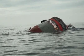 Ảnh minh họa. (Nguồn: TTXVN)