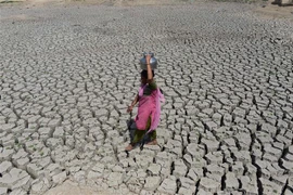 Hồ Chandola ở Ahmedabad, Ấn Độ khô cạn do hạn hán. (Nguồn: AFP/TTXVN)