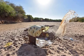 Người dân lấy nước từ lòng sông khô cạn do hạn hán tại Doolow, Somalia. (Nguồn: THX/TTXVN)