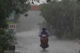 (Ảnh minh họa: Duy Khương/TTXVN)