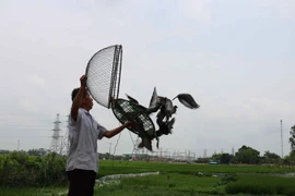  Các nghệ nhân đang vực chim. (Ảnh: Thanh Thương/TTXVN)