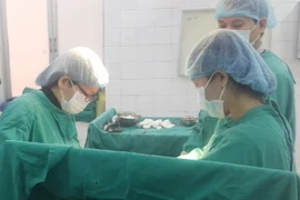 Ảnh minh họa. (Nguồn: TTXVN)