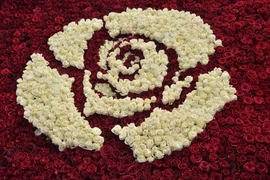 [Photo] Lộng lẫy kim tự tháp được kết từ hàng trăm nghìn đóa hồng 