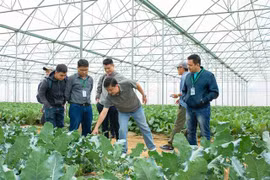 Các hộ nông dân tham quan và học tập tại nông trường VinEco