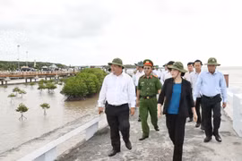 Chủ tịch Quốc hội Nguyễn Thị Kim Ngân khảo sát bãi bồi bờ kè tại xã Đất Mũi, huyện Năm Căn. (Ảnh: Trọng Đức/TTXVN)