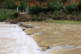 (Ảnh minh họa: Nguyên Linh/TTXVN)