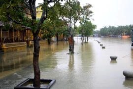 (Ảnh minh họa: Trịnh Bang Nhiệm/TTXVN)