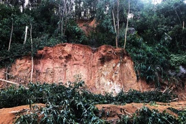 (Ảnh minh họa: Nguyên Linh/TTXVN)