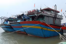 Các tàu cá neo đậu tránh trú bão số 13 tại âu thuyền xã Phú Hải, huyện Phú Vang. (Ảnh: Đỗ Trưởng/TTXVN)