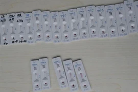 Các mẫu để xét nghiệm COVID-19 tại một trung tâm ở Tangerang, Indonesia ngày 4/5/2020. (Ảnh: THX/TTXVN)