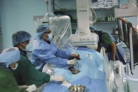 Ảnh chỉ có tính minh họa. (Ảnh: Sỹ Tuyên/TTXVN)