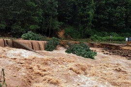 Ảnh chỉ có tính minh họa. (Ảnh: Văn Đức/TTXVN)