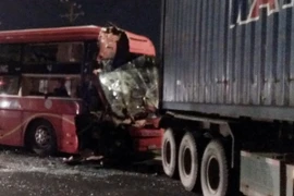 Ảnh chỉ có tính minh họa. (Ảnh: Tuấn Anh/TTXVN)