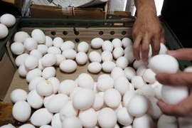 Trứng được bày bán tại một chợ ở Đài Bắc, Đài Loan, Trung Quốc. (Nguồn: EPA/TTXVN)