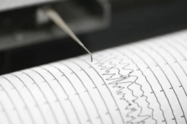 Ảnh chỉ có tính minh họa. (Nguồn: samaa.tv)