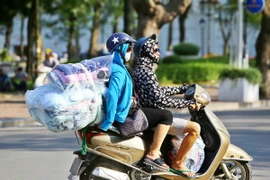 Ảnh chỉ có tính minh họa. (Ảnh: Minh Quyết/TTXVN)