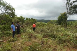 Khu vực đất công bị người dân vào lấn chiếm. (Ảnh: Anh Dũng/TTXVN)