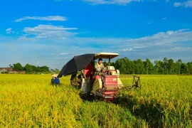 Ảnh chỉ có tính minh họa. (Ảnh: Lê Minh Sơn/Vietnam+)