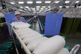 Ảnh chỉ có tính minh họa. (Ảnh: Trần Việt/TTXVN)