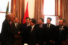 Đoàn đại biểu cấp cao Quốc hội Việt Nam hội đàm với Đoàn đại biểu Quốc hội Nam Phi. (Nguồn: TTXVN)