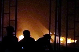 Ảnh chỉ có tính minh họa. (Nguồn: TTXVN)