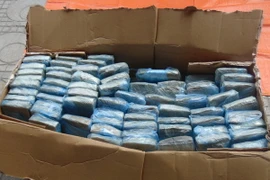 Ảnh chỉ có tính minh họa. (Ảnh: Thái Hùng/TTXVN)