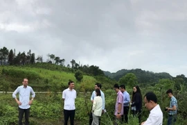 Tập đoàn Banyan Tree khảo sát xây dựng khách sạn siêu sang tại huyện Quản Bạ (Hà Giang). (Ảnh Minh Tâm/Vietnam+)