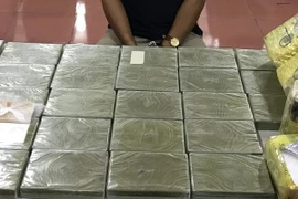 Ảnh chỉ có tính minh họa. (Ảnh: Trần Hoàng Ngọc/TTXVN)