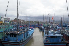 Tàu thuyền tránh trú áp thấp nhiệt đới. (Ảnh: Viết Ý/TTXVN)