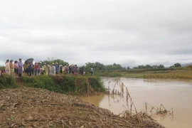 Ảnh chỉ có tính minh họa. (Ảnh: Xuân Tiến/TTXVN)