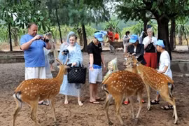 Khách Nga ở Nha Trang. (Ảnh: Thanh Hà/TTXVN)