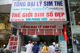 Ảnh minh họa. (Ảnh: Minh Sơn/Vietnam+)