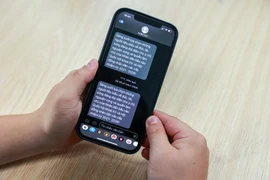 Ảnh minh họa. (Ảnh: Minh Sơn/Vietnam+)