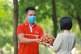Hành trình đưa nông sản lên sàn thương mại điện tử sẽ là hướng đi bền vững trong tương lai. (Ảnh: Viettel Post)